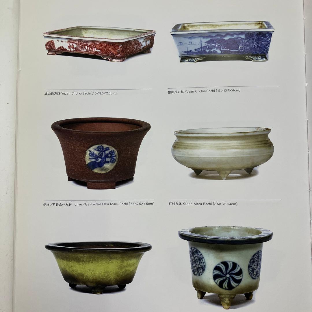 盆栽宇宙 THE MODERN BONSAI - メルカリ