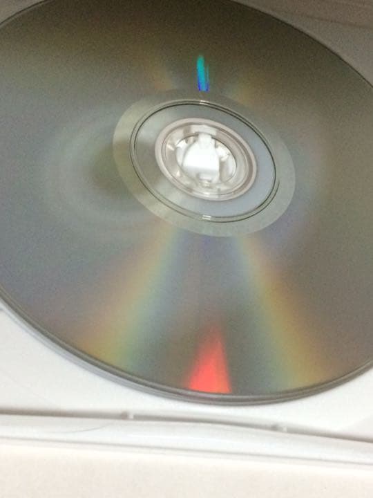 春休みの恋人 -特別版- DVD/加藤慶祐井上正大 高垣彩陽 飯田隆裕 廃盤商品