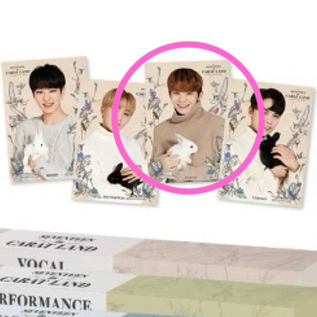 SEVENTEEN CARAT LAND ケレン ウジ ウサギ ポスター ケレン - メルカリ