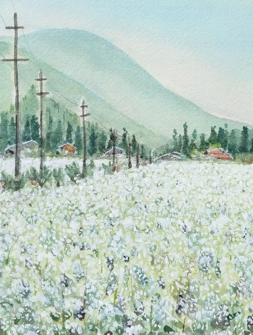 長野県 《 木曽蕎麦畑 》　 　水彩画　風景画　原画 プレゼントあり