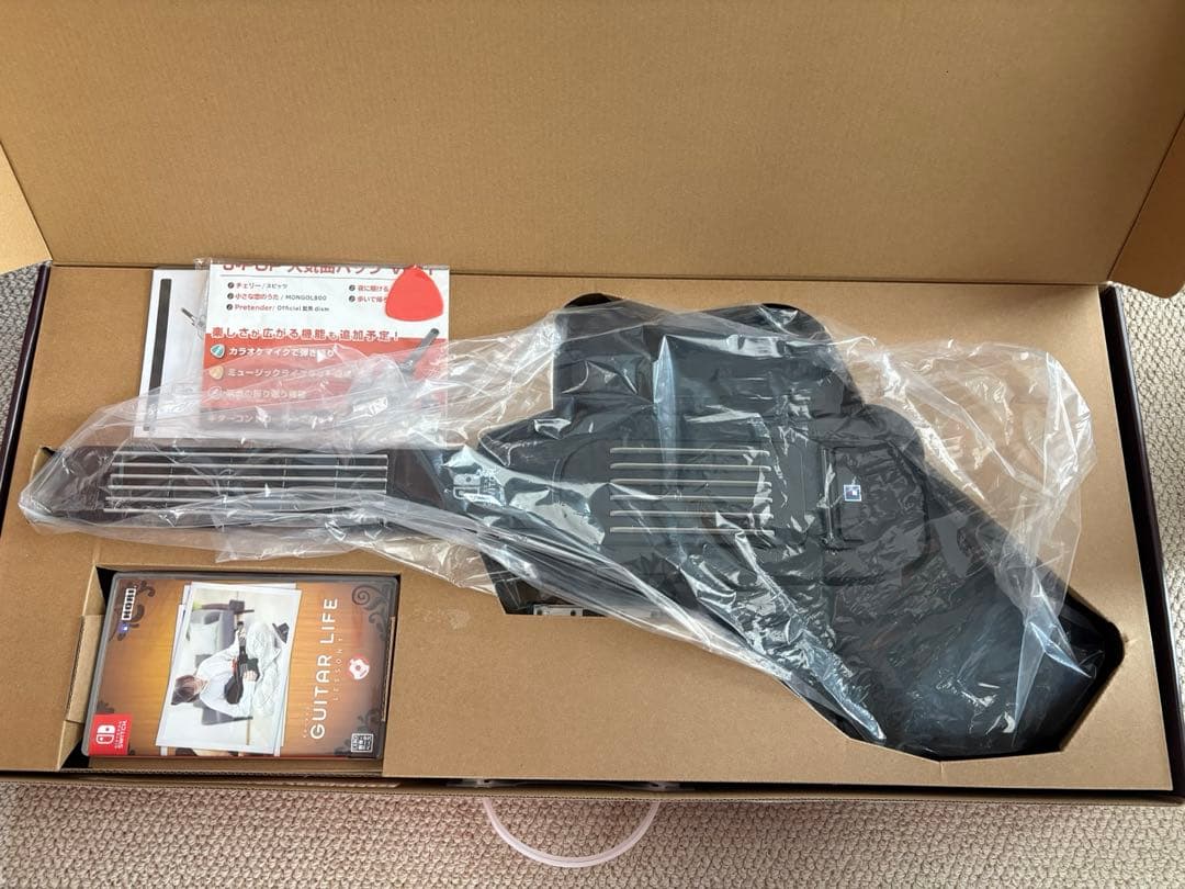 美品 Switch GUITAR LIFE -LESSON1- エレキ天国