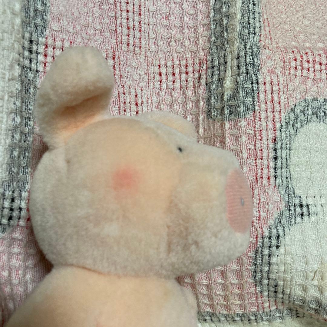 サンアロー kipper ブタ ぬいぐるみ 中古品 - メルカリ