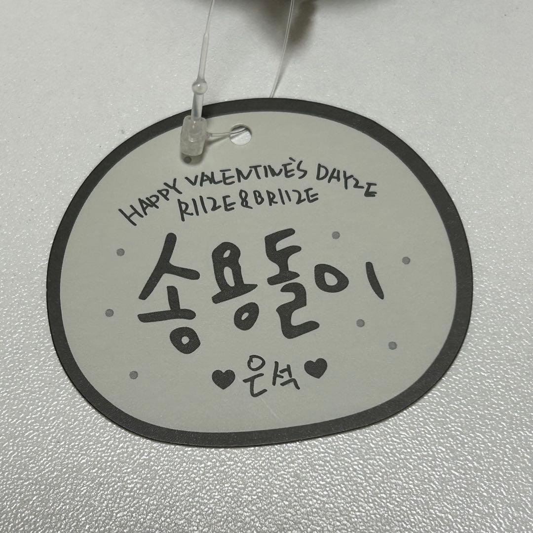 2024 RIIZE バレンタイン 10cmドール キーリング ウンソク - メルカリ