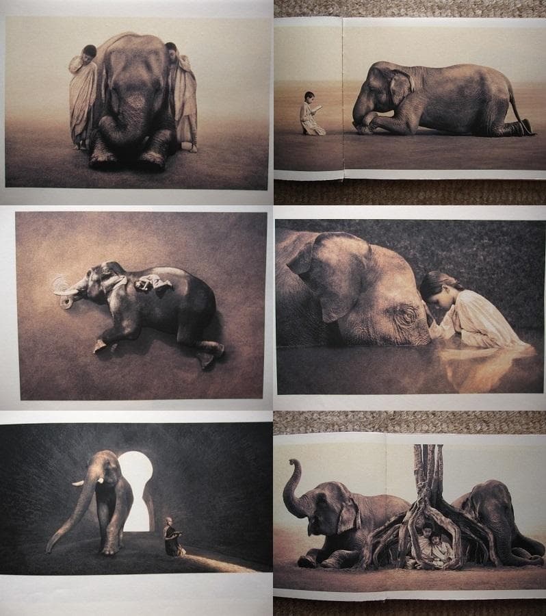 Ashes and Snow / Gregory Colbert - メルカリ