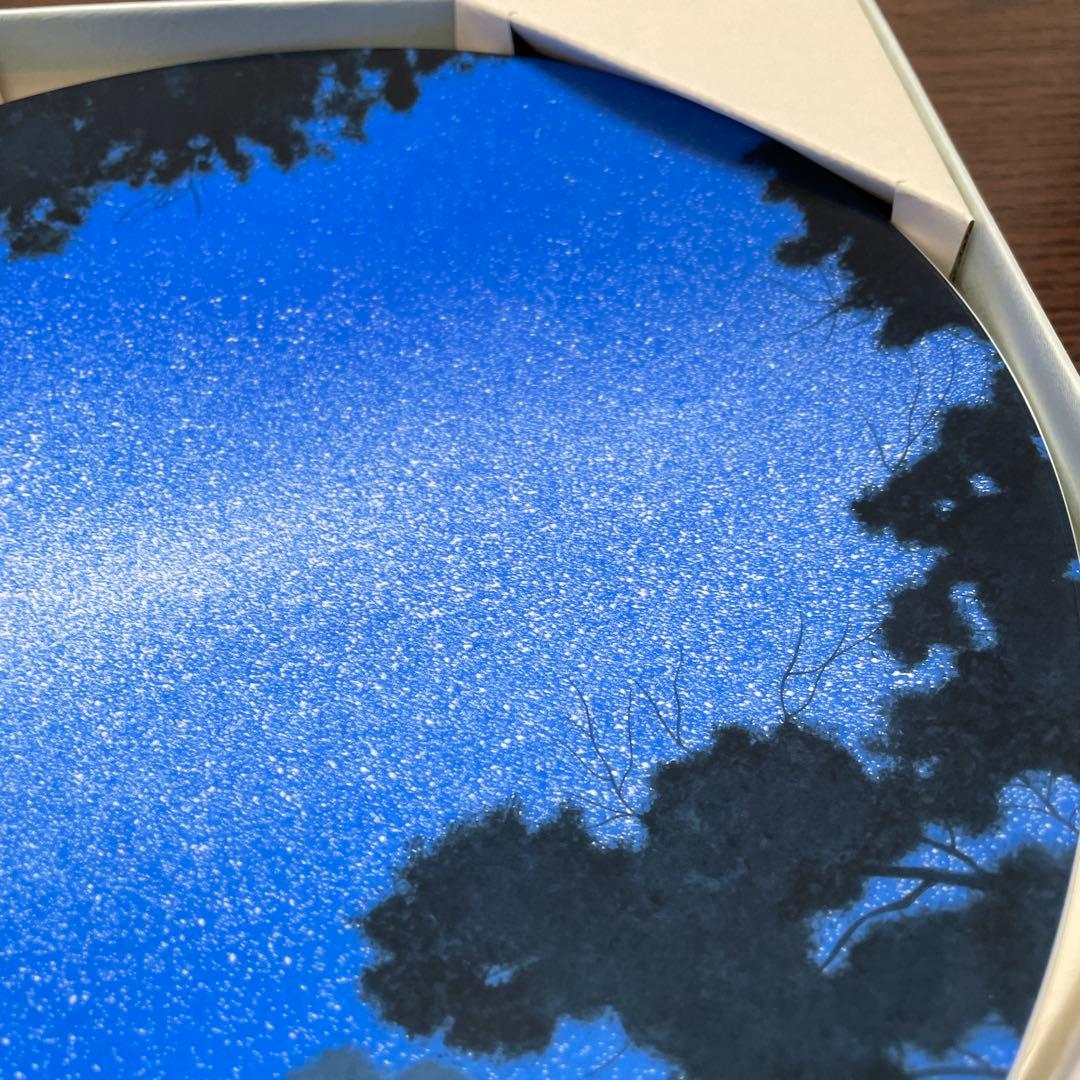 銀河」GALAXY・千住博・陶板画・箱入・栞付・ROYAL Copen・ - メルカリ