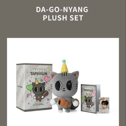 TXT テヒョン》ダゴニャン センイル ぬいぐるみ ☆外箱に初期難あり