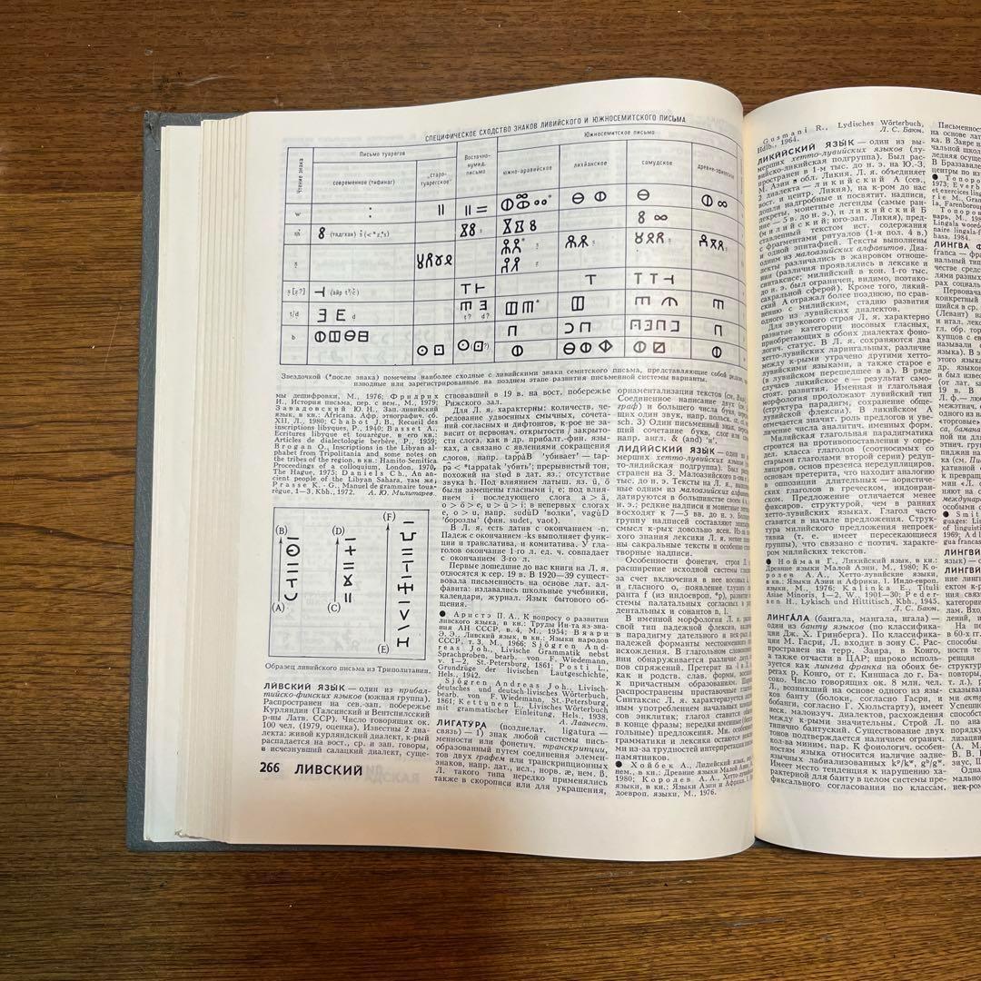 ロシア語 言語学百科事典