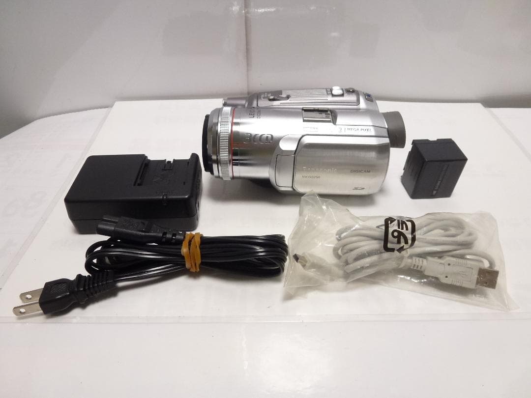 動作品　Mini DV　パナソニックビデオカメラ　NV-GS250　大人気 動作品 Mini DV パナソニックビデオカメラ NV-GS250 - メルカリ