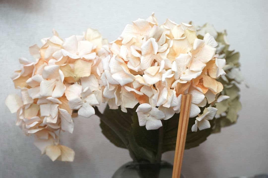 ✨実用品✨SIGMA 135-400mm F4.5-5.6 APO D