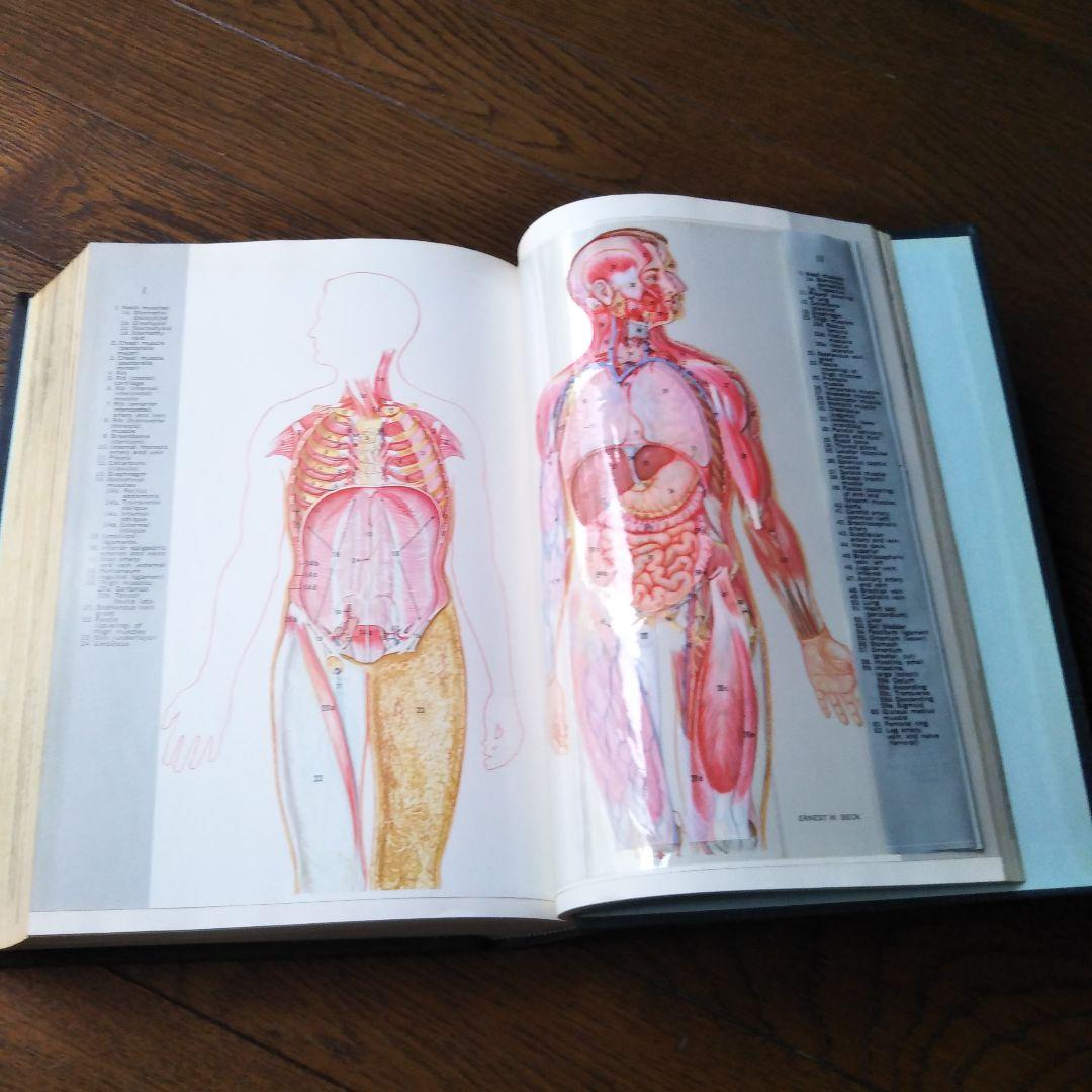 百科事典：①エンサイクロペディア アメリカーナ 10冊（1/3） - メルカリ