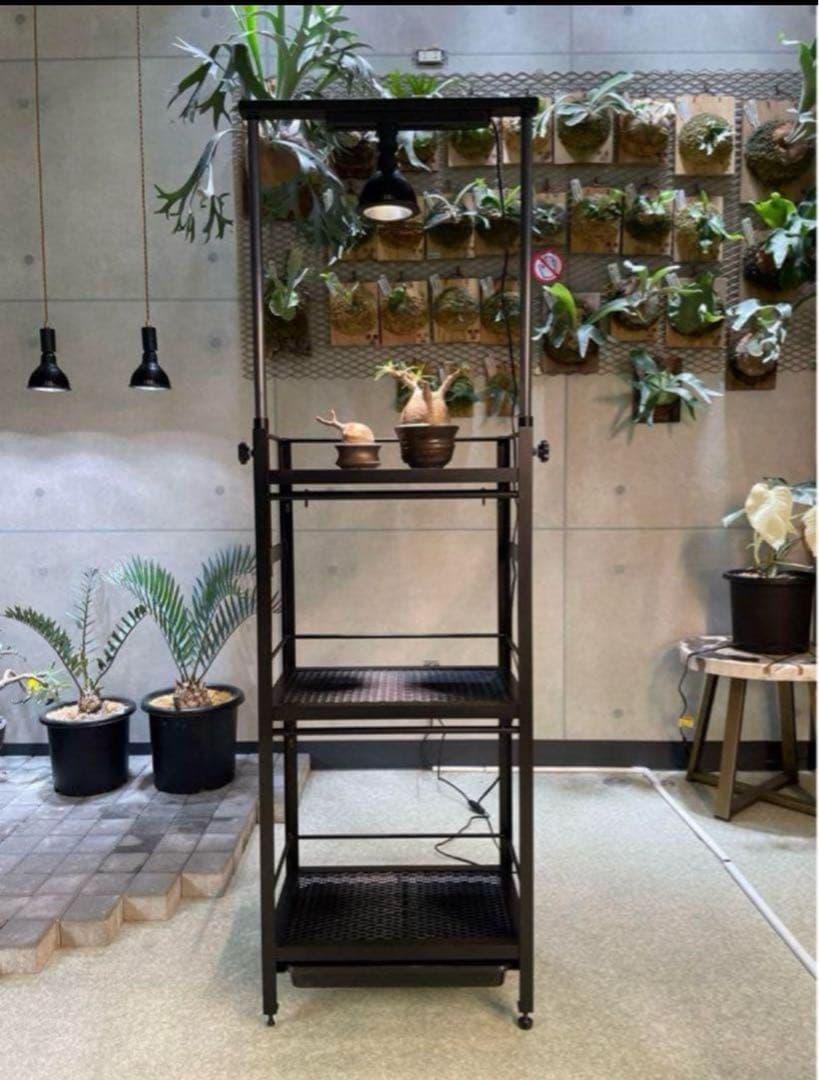 アキラ様専用 植物棚