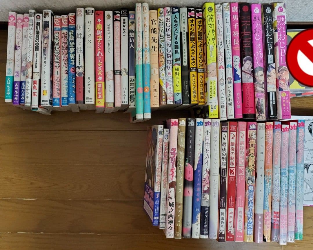 異世界系漫画BL漫画GL百合漫画少女漫画小説など112冊セットまとめ
