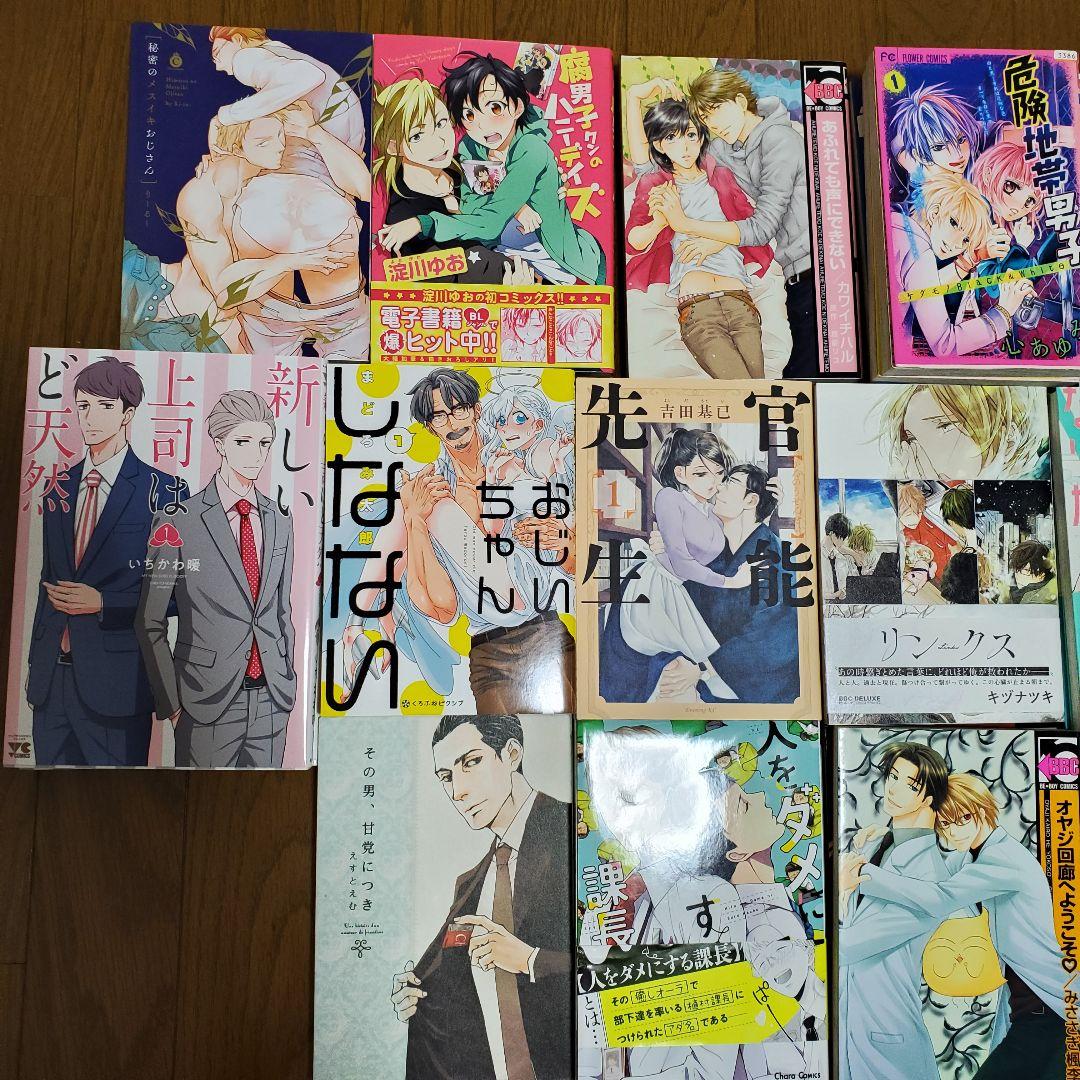 異世界系漫画BL漫画GL百合漫画少女漫画小説など112冊セットまとめ