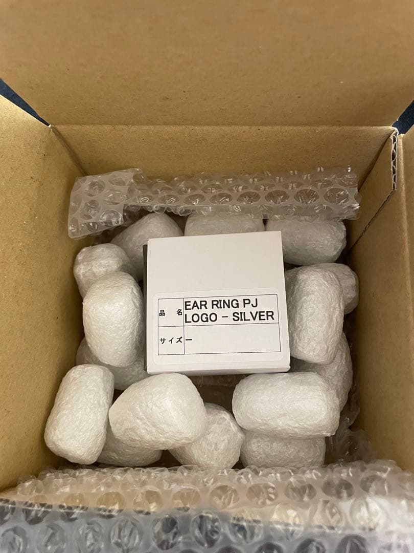 クリスマス限定価格】pointless Journey 常田大希シルバーピアス