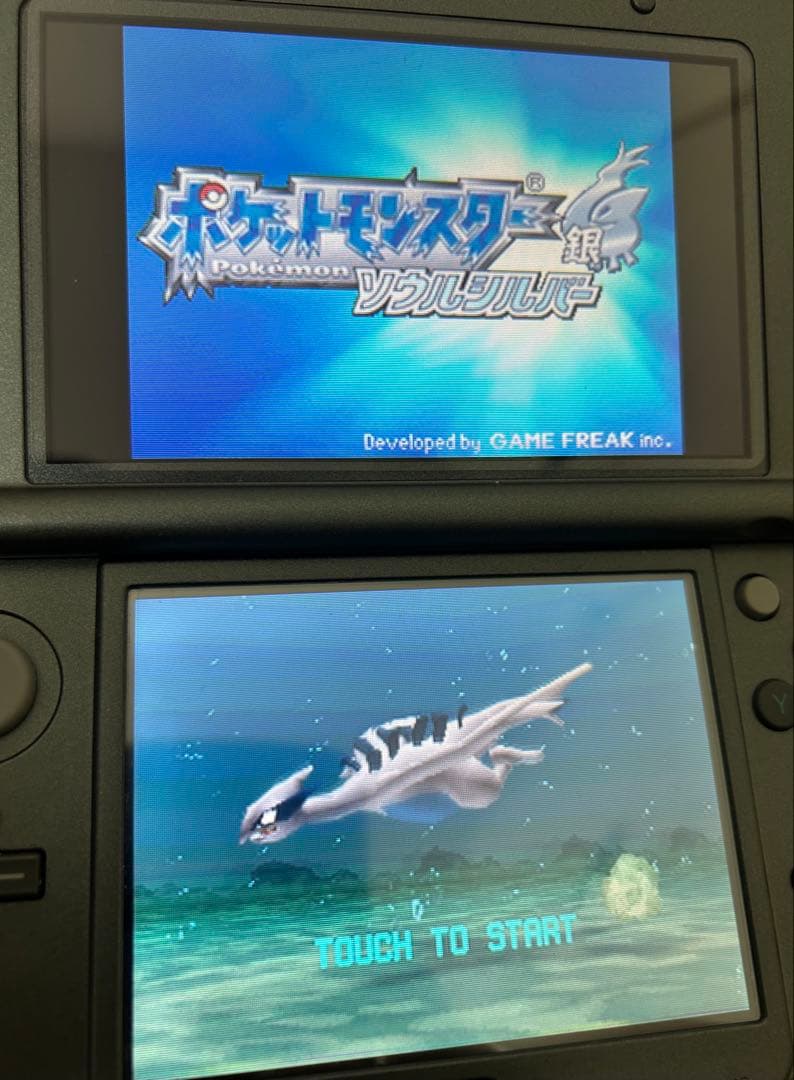 ポケットモンスター ハートゴールド・ソウルシルバー 2本セット 動作