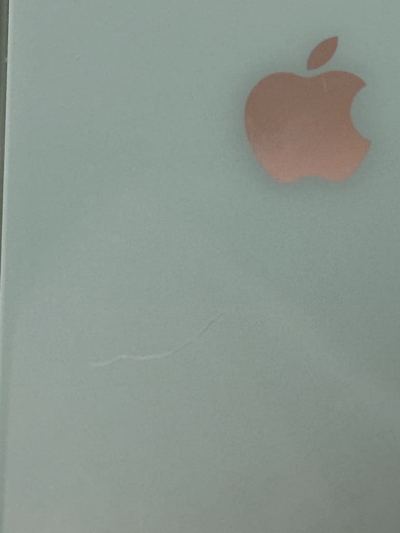 Apple iPhone 11 ミントグリーン 本体