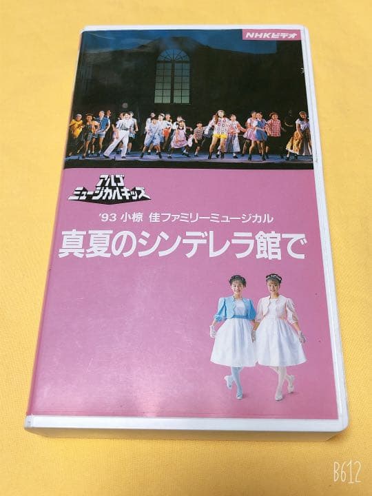 入手困難 廃盤VHSビデオ☆真夏のシンデレラ館で アルゴミュージカル