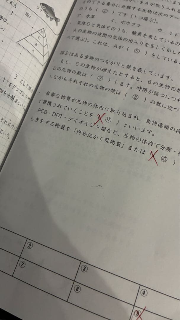 サピックス 6年 理科 通常テキスト 年間フルセット - メルカリ