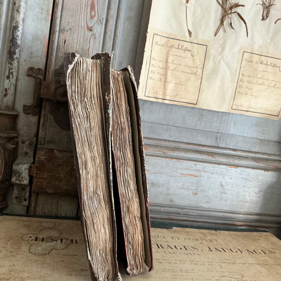 19世紀 フランスアンティーク 2冊 ラベルだけの本 古書 ブロカント