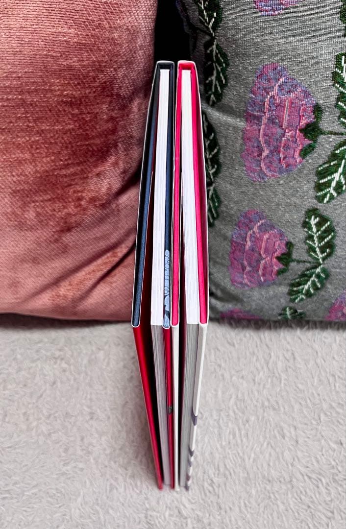 Niθ ニシー 本 画集 ART WORKS 艶姿戯画 百花繚乱