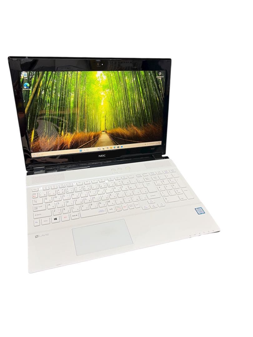 Windowsノート本体 NEC Lavie PC-SN254FPAB LAVIEクラブ | ノートパソコン(ノートPC) | NEC LAVIE公式サイト