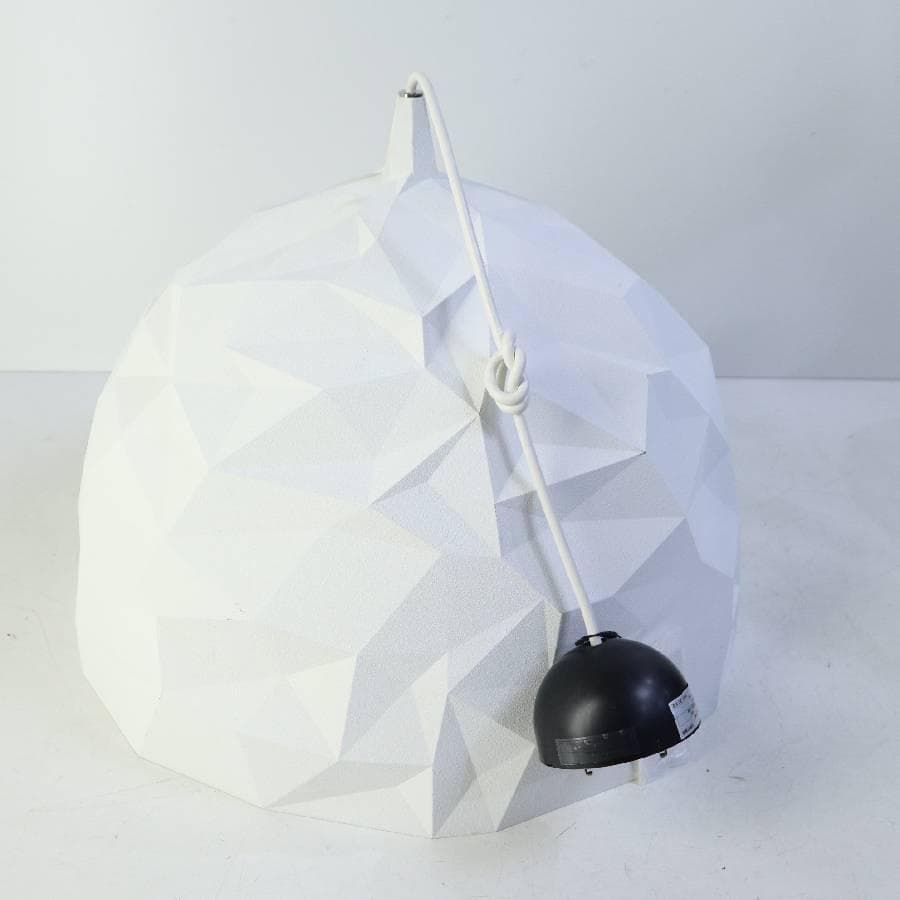 ディーゼル リビング ウィズ フォスカリーニ ロック サスペンション