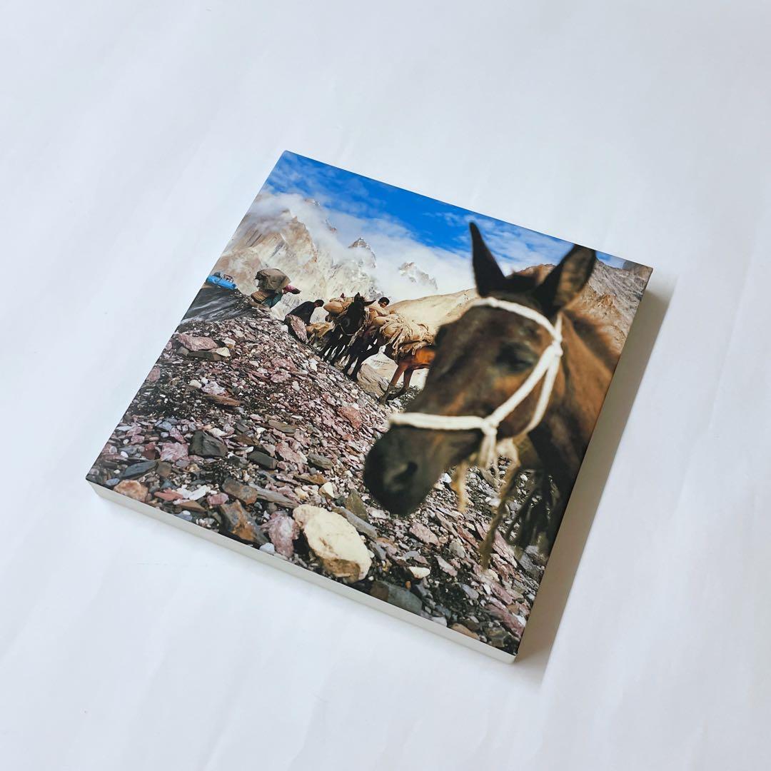 【非売品】【新品】[CHANEL] 石川直樹 写真集 図録 K2