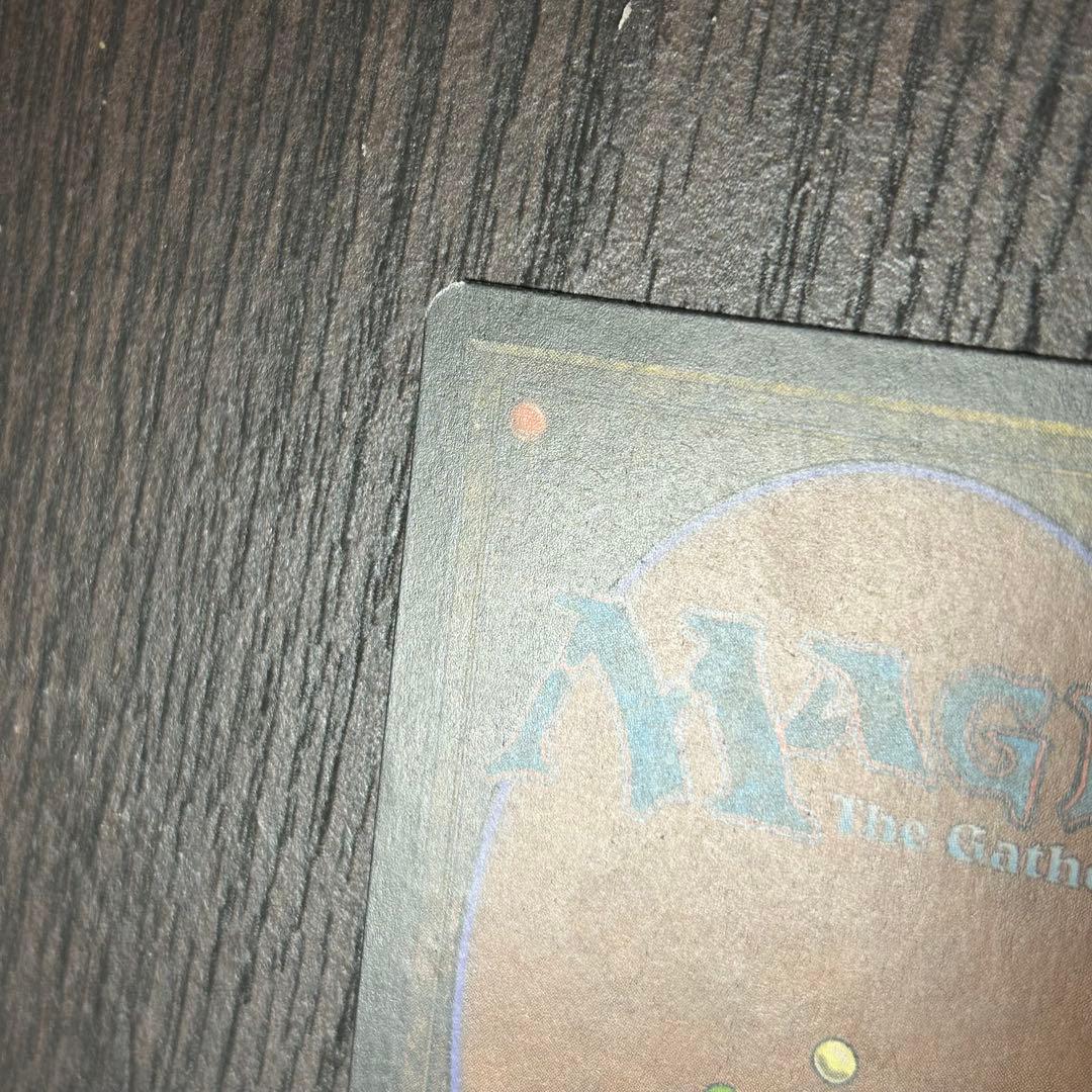 【日本語Foil】《新緑の地下墓地/Verdant Catacombs》ZEN