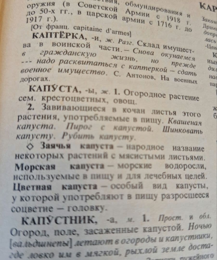 4巻本露露辞典(1981~1984)