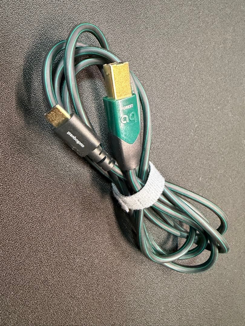 ifi Audio 4.4mm to 4.4mmとUSBケーブル