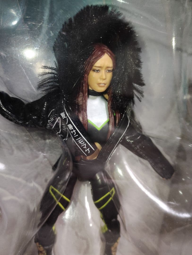 マテル社版 WWEプロレスフィギュア イヨスカイ 初期 紫雷イオSHIRAI