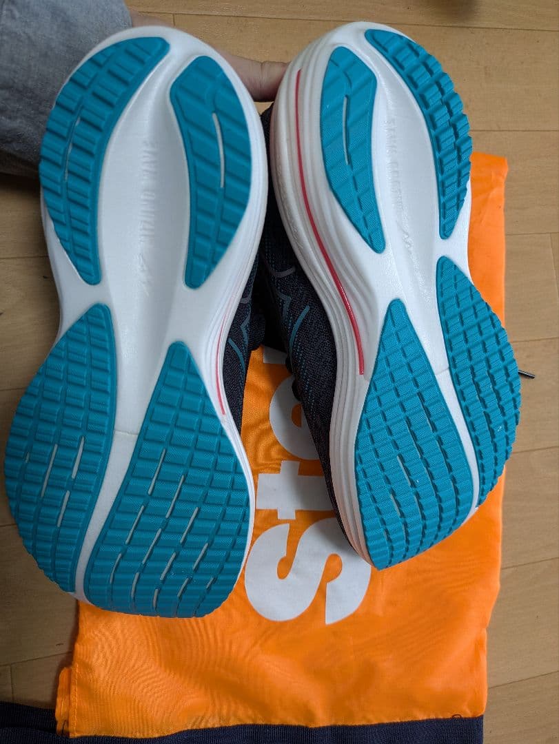 ミズノ　ウェーブライダー29 26.0cm