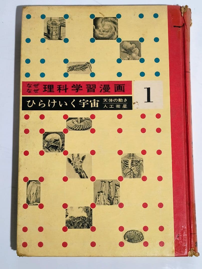 「なぜなぜ理科学習漫画」シリーズ　全12巻中11巻 (第4巻が欠落) なぜなぜ理科学習まんが 全12巻 集英社 |本 | 通販 | Amazon