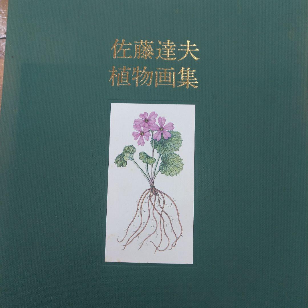 (値下げしました)佐藤達夫 植物画集 希少】佐藤達夫 花の画集 SATO'S FLORA (a) 植物画集 - メルカリ
