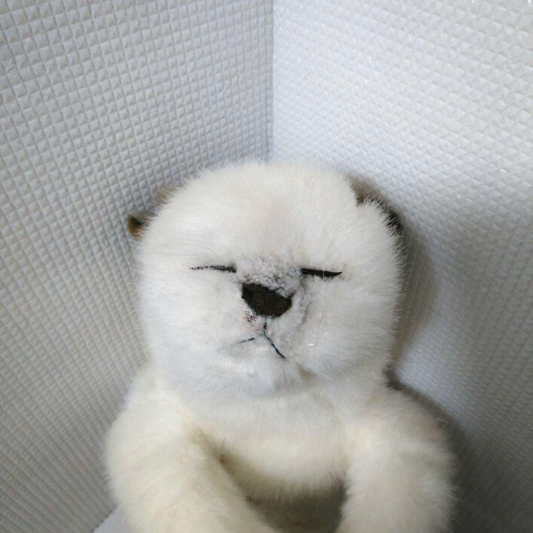 リーベ社 リアル眠り猫 ぬいぐるみ 昭和レトロ 白色 クリーム色 - メルカリ