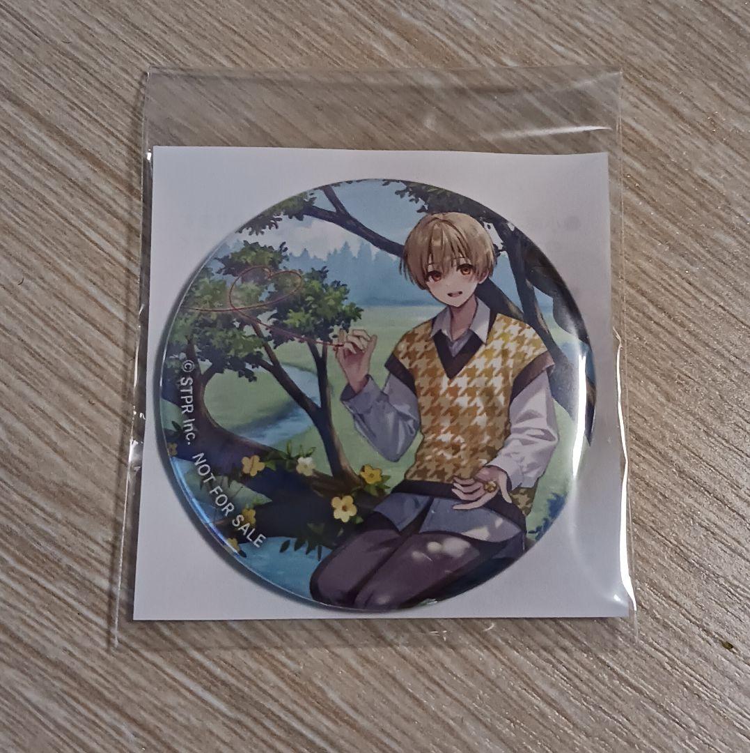 るぅとくん アルバム 君と僕の約束 アニメイト 特典 缶バッジ - メルカリ