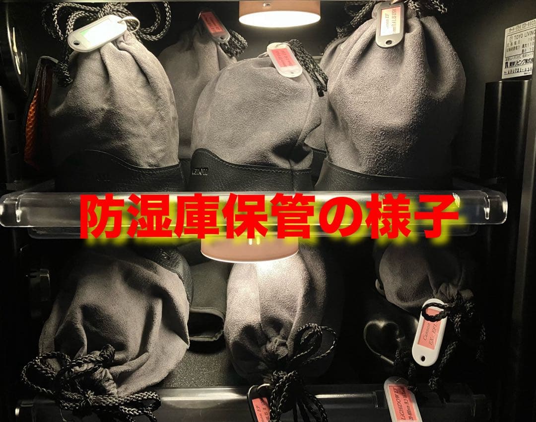 EF70-300mm F4.5-5.6 DO IS USM【高解像感・作例あり】