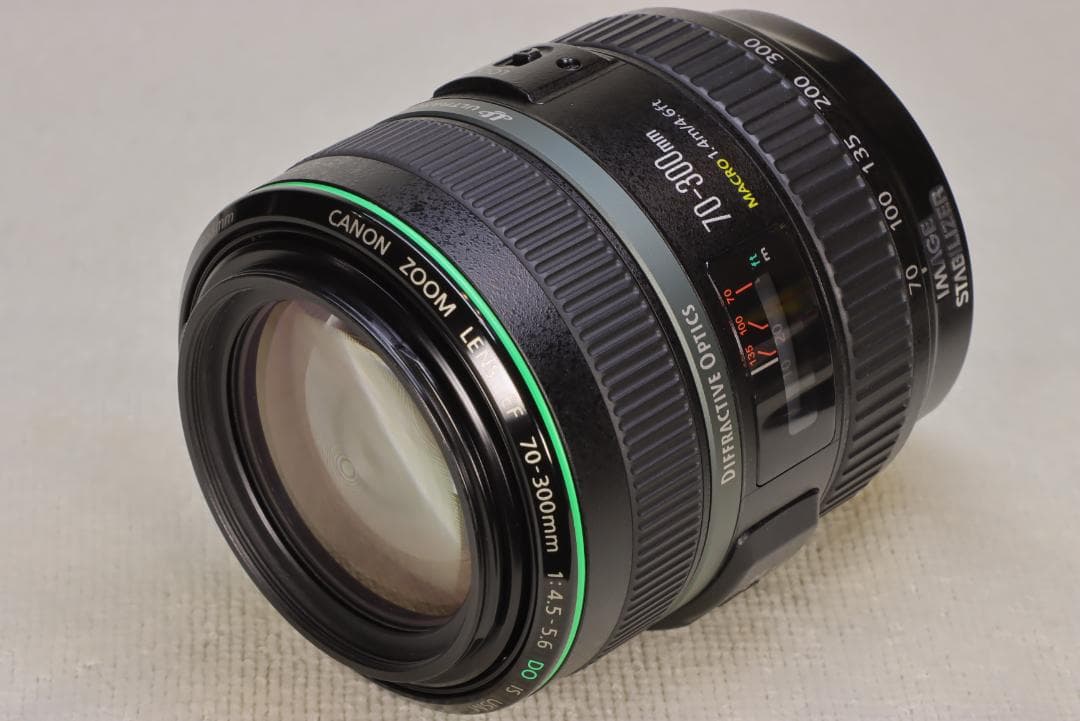 EF70-300mm F4.5-5.6 DO IS USM【高解像感・作例あり】