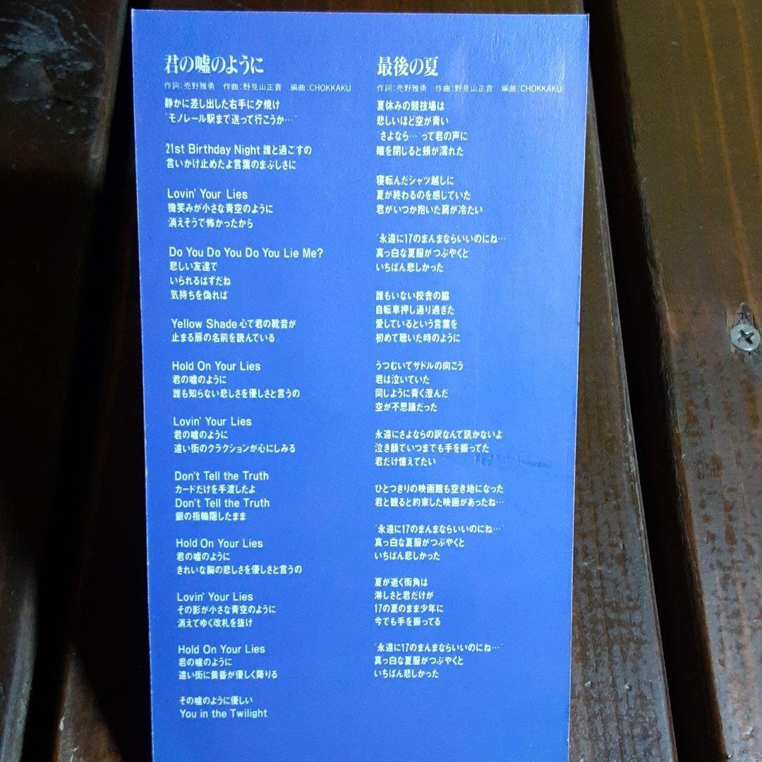 野見山正貴 君の嘘のように 最後の夏