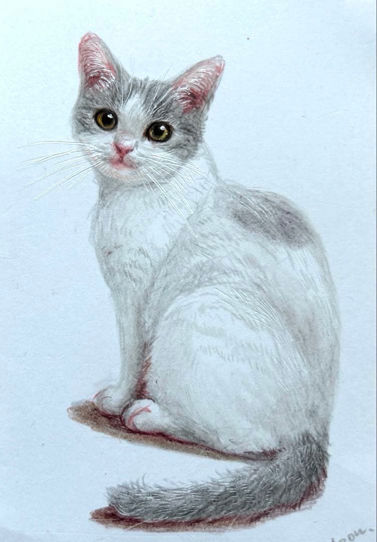 猫 絵画 子猫 イラスト 水彩色鉛筆 油彩色鉛筆 原画 グレーハチワレ猫