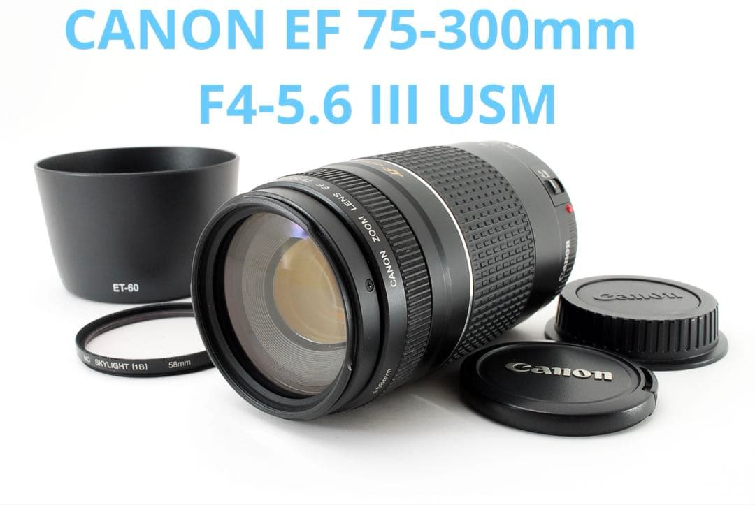 イベント運動会⭐︎迫力300㎜⭐︎スポーツ⭐︎Canon EF75-300 USM