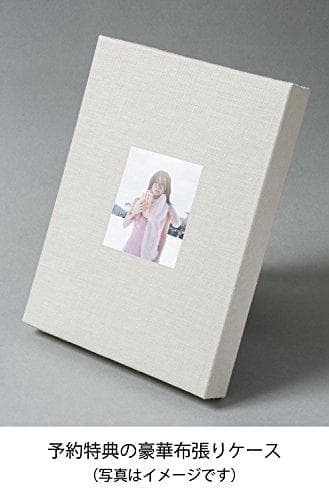 【極美品】スピッツのデザイン 予約特典版 MdN編集部