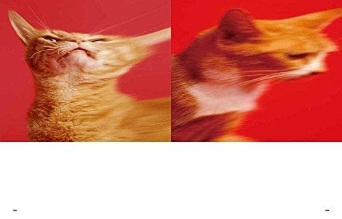 【極美品】スピッツのデザイン 予約特典版 MdN編集部