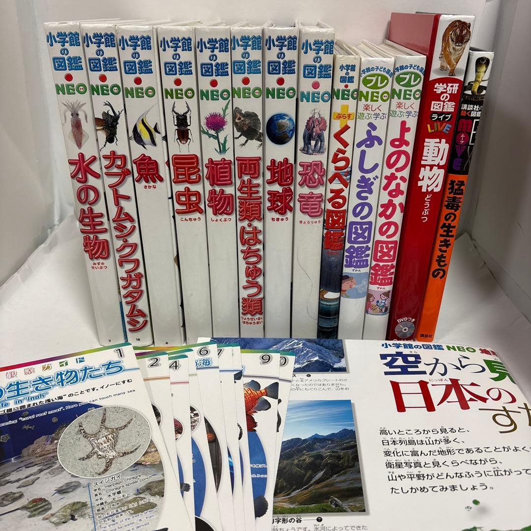 図鑑 13冊セット 図鑑neo 小学館 プレneo 特典付き - メルカリ