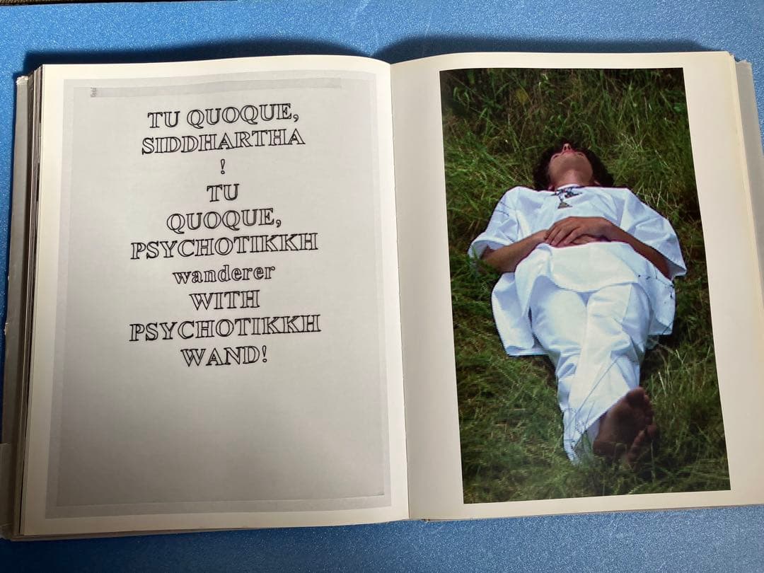 超貴重絶版本！ラフシモンズ10周年記念写真集/REDUX(価格相談)