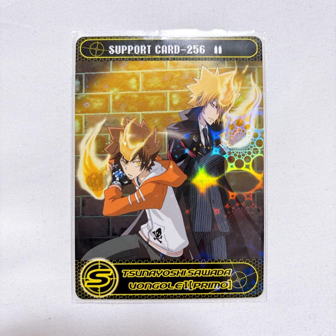 REBORN サザンクロスバトル レア 沢田綱吉 プリーモ ボンゴレⅠ世