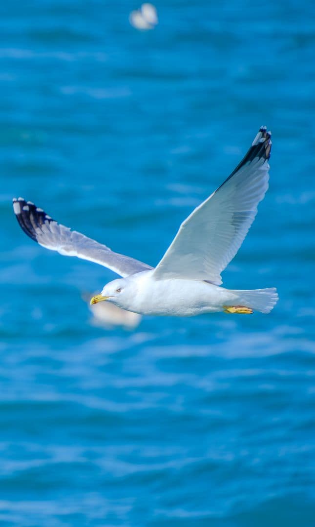 フジフイルム用 TAMRON 18-300mm F/3.5-6.3