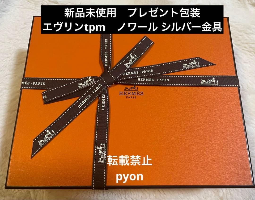 最終値下げ！新品未使用】エルメス ミニエブリンTPM ノワール シルバー
