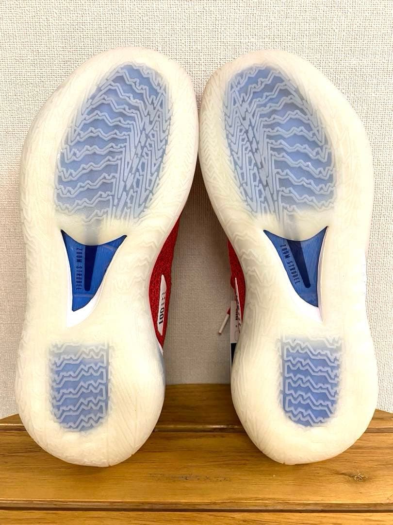 シューズ(男性用) NIKE AIR ZOOM G.T. CUT \"USA\" 28cm