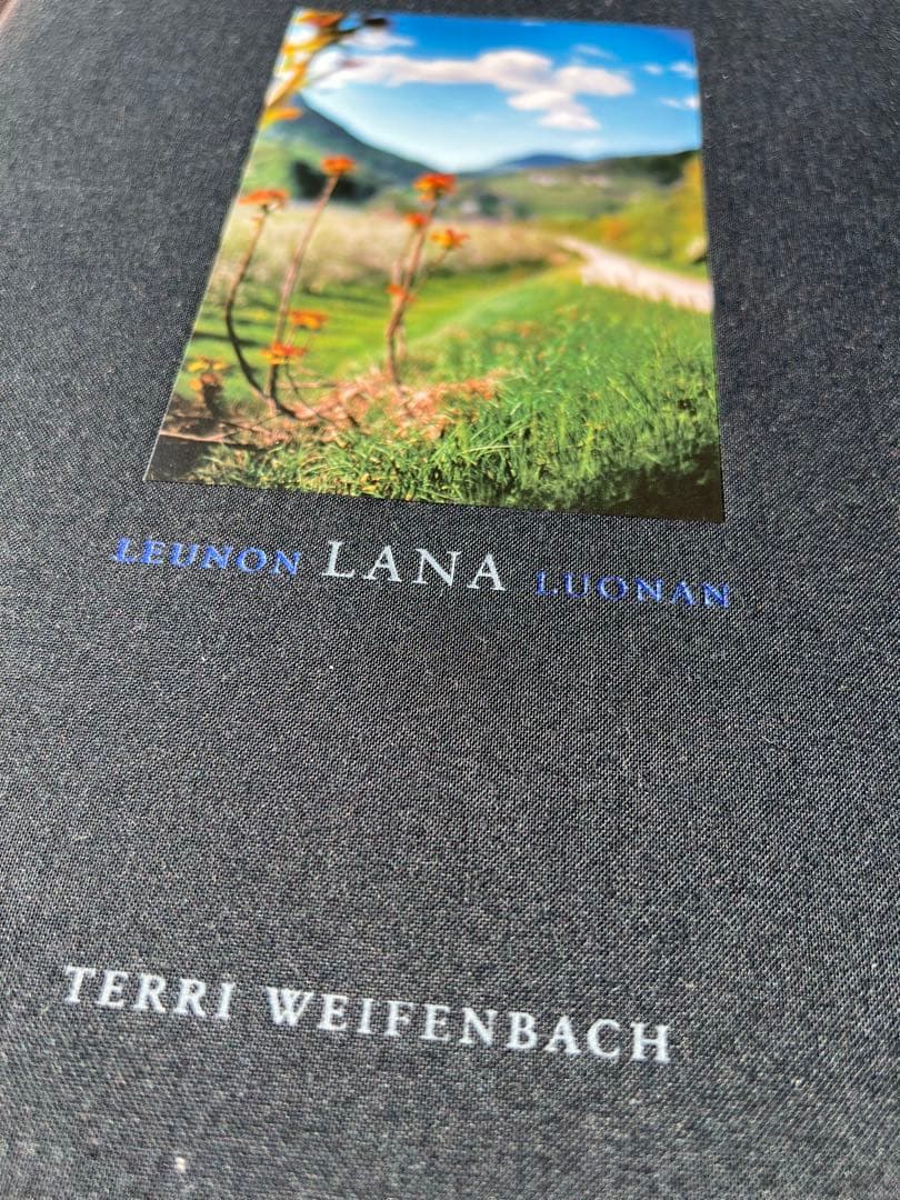 Lana by Terri Weifenbach ハードカバー - メルカリ